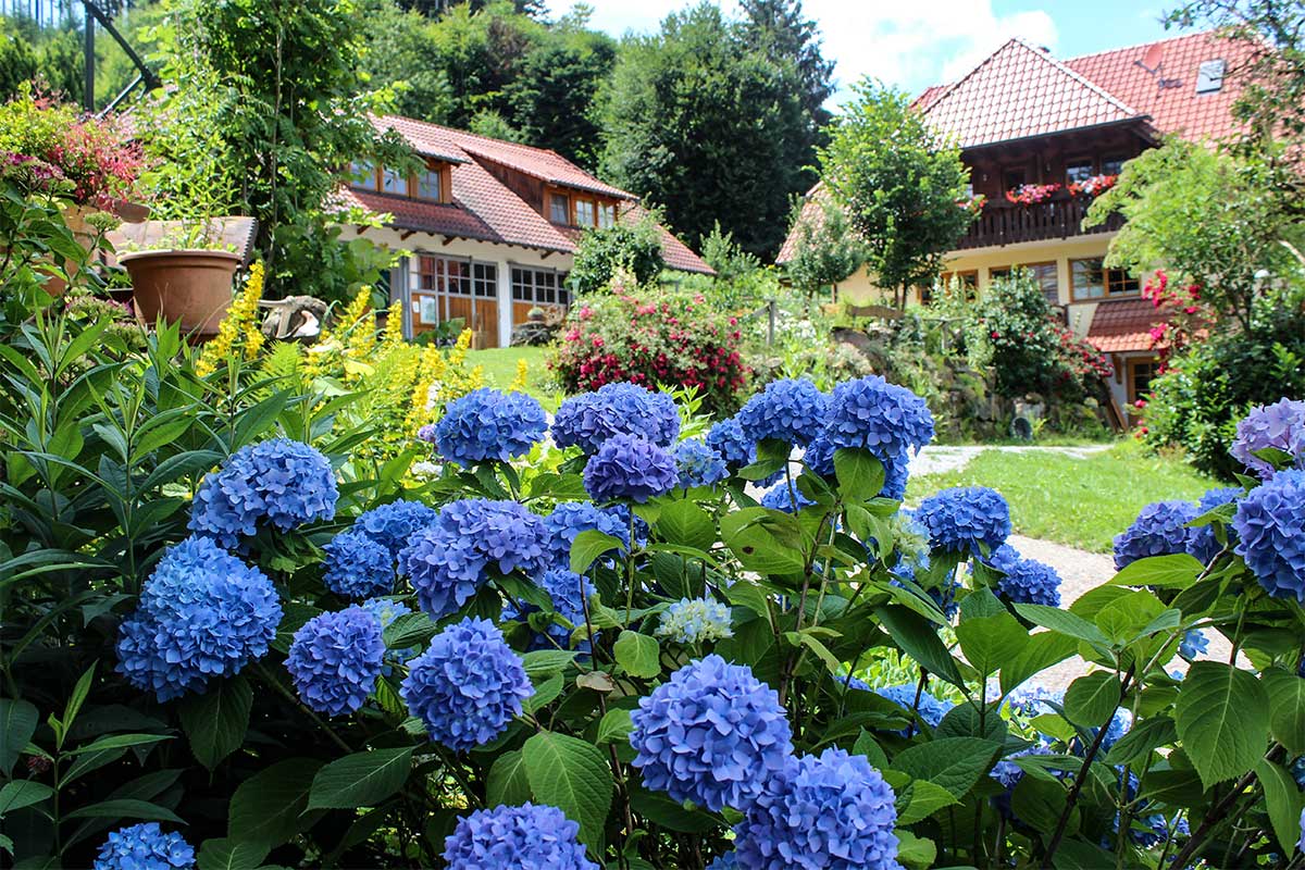 Galerie Haghof